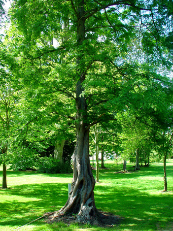 Image événement labouture