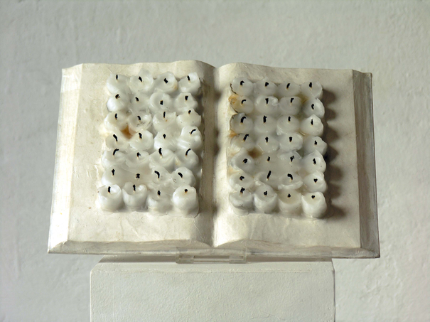 Image événement labouture