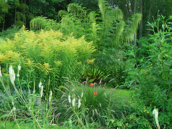 Image événement labouture