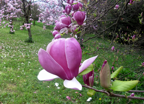 Image événement labouture