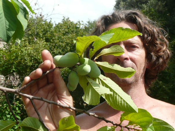 Image événement labouture