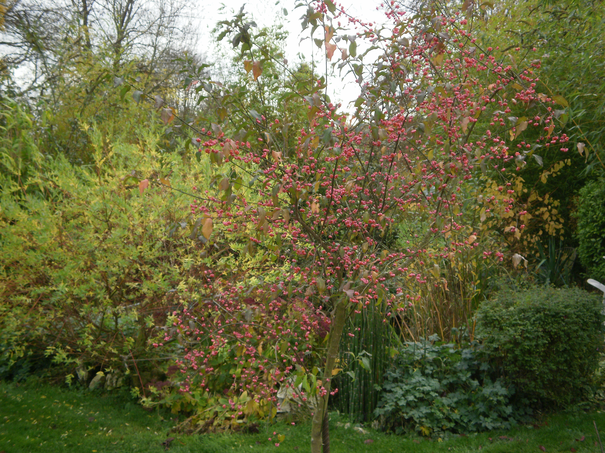 Image événement labouture