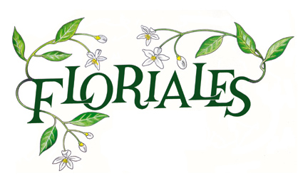 Image événement labouture