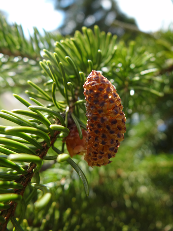 Image événement labouture