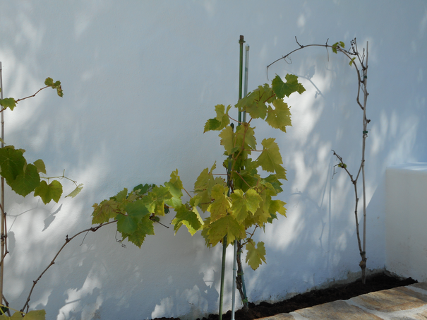 Image événement labouture