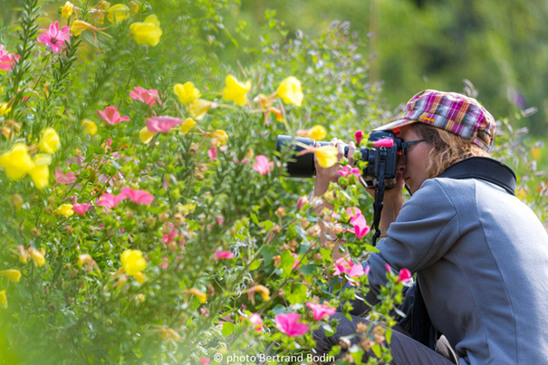 Image événement labouture